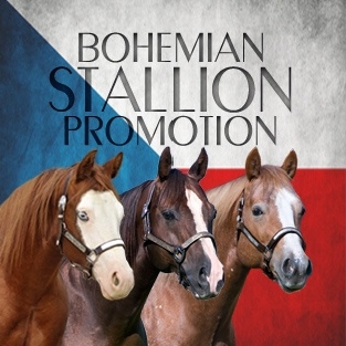 SHRNUTÍ BOHEMIAN STALLION PROMOTION 2019