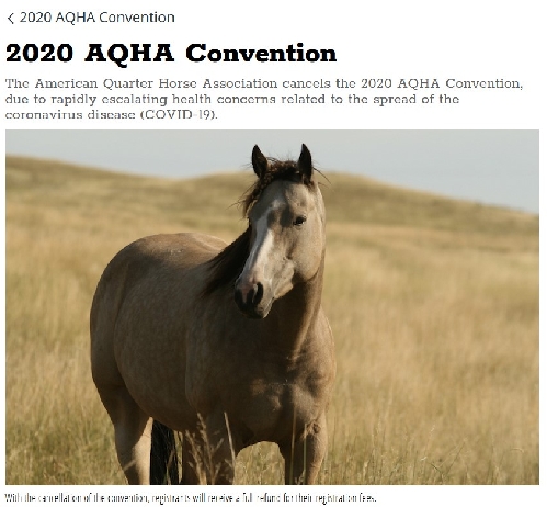 2020 AQHA CONVENTION – PRO TENTOKRÁT A POPRVÉ V HISTORII ONLINE!