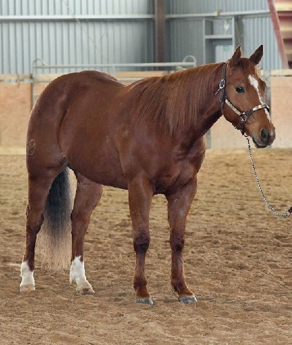 POČET QH V ČR K 31. 12. 2023 BYL 3245 KUSŮ