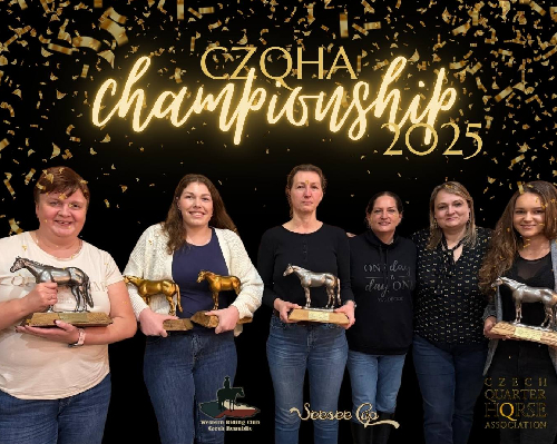 VYHLÁŠENÍ CZQHA ŠAMPIONÁTU