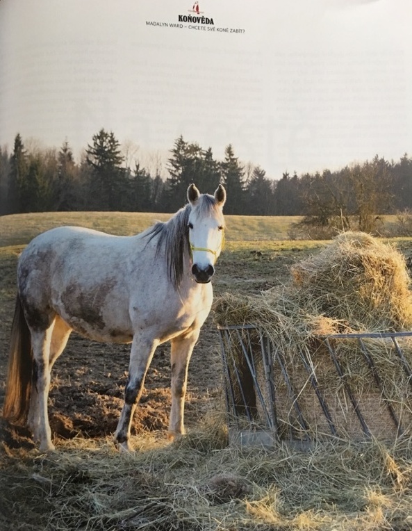 Foto převzato z časopisu Horseman