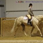 Hunter Under Saddle