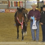 Tomáš Bárta - Working Cow Horse Champion...